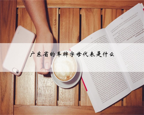 广东省的车牌字母代表是什么