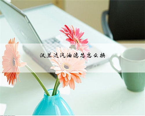 汉兰达汽油滤芯怎么换