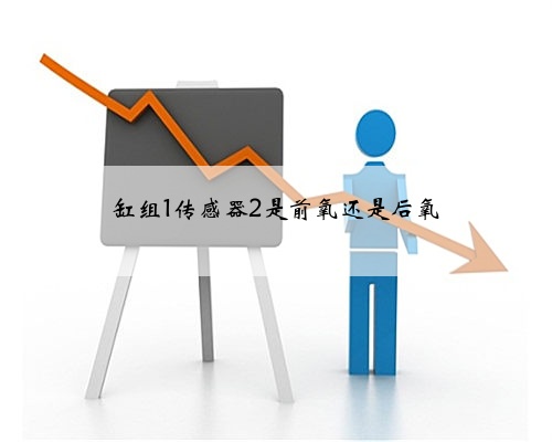 缸组1传感器2是前氧还是后氧