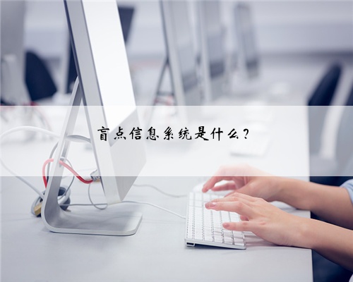 盲点信息系统是什么？