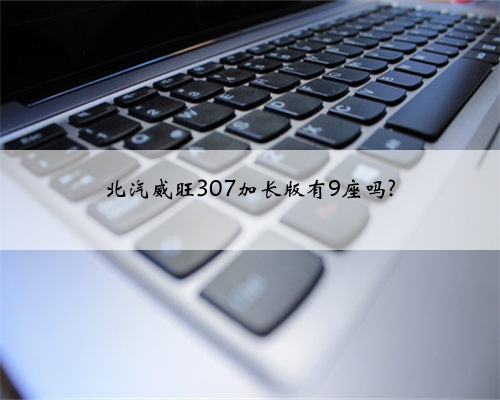 北汽威旺307加长版有9座吗?