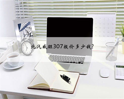 北汽威旺307报价多少钱?