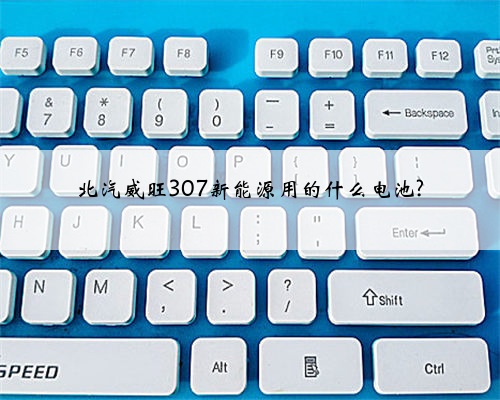 北汽威旺307新能源用的什么电池?
