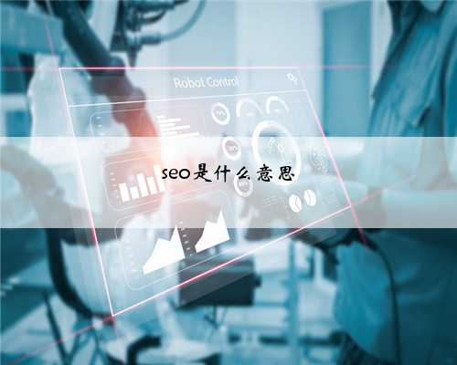 seo是什么意思