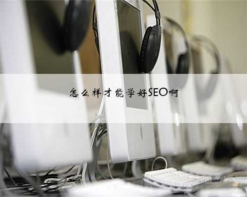 怎么样才能学好SEO啊