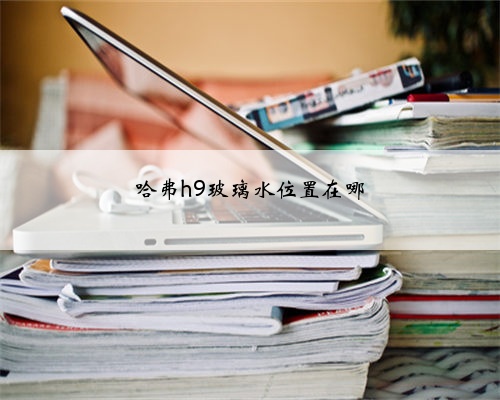 哈弗h9玻璃水位置在哪