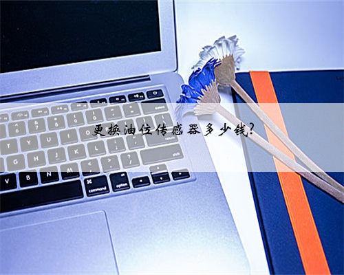 更换油位传感器多少钱?