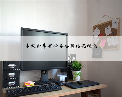 专家新车有必要安装挡泥板吗