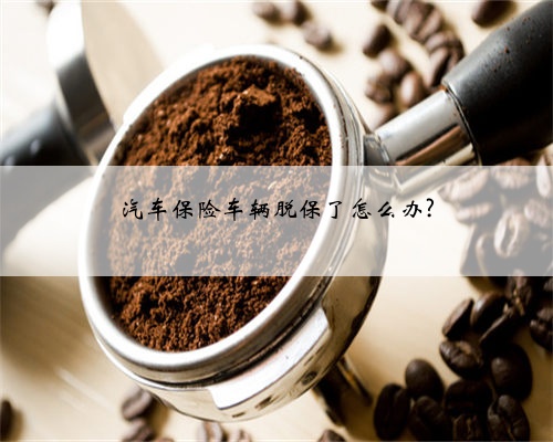 汽车保险车辆脱保了怎么办?