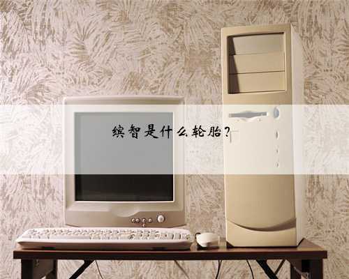 缤智是什么轮胎？
