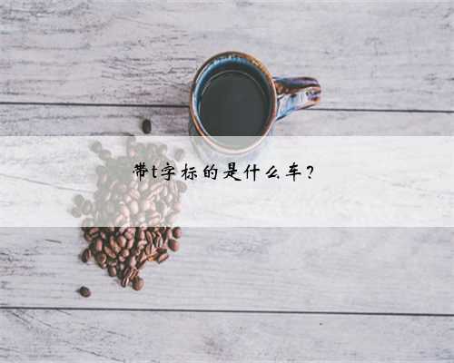 带t字标的是什么车?