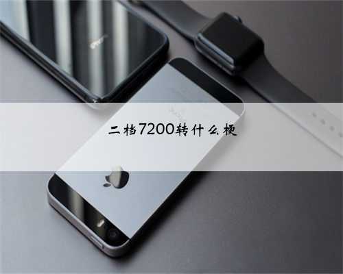 二档7200转什么梗