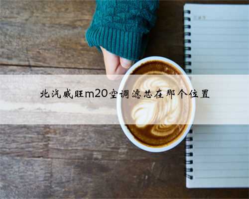 北汽威旺m20空调滤芯在那个位置