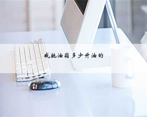 威驰油箱多少升油的