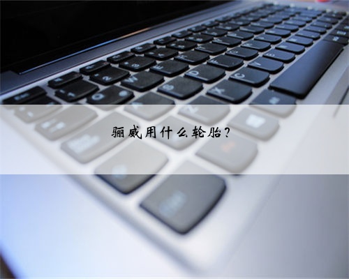 骊威用什么轮胎?