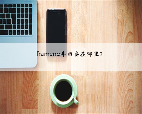 frameno丰田安在哪里？