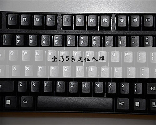宝马5系定位人群