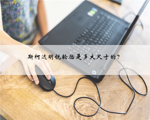 斯柯达明锐轮胎是多大尺寸的？