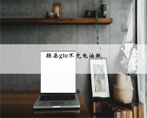 探岳gte不充电油耗