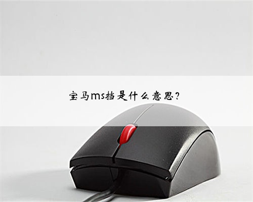 宝马ms挡是什么意思?