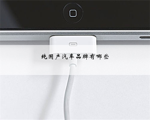 纯国产汽车品牌有哪些