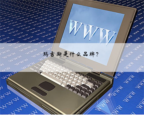 玛吉斯是什么品牌？
