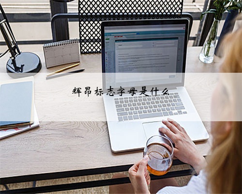 辉昂标志字母是什么