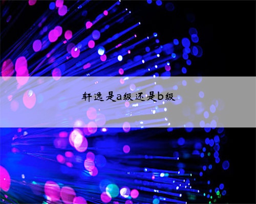 轩逸是a级还是b级