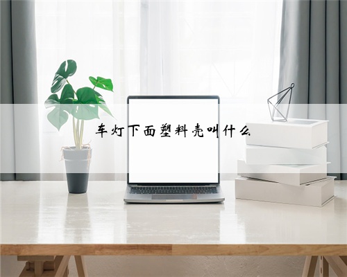 车灯下面塑料壳叫什么