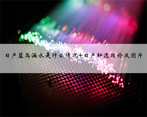 日产蓝鸟漏水是什么情况 日产轩逸报价及图片