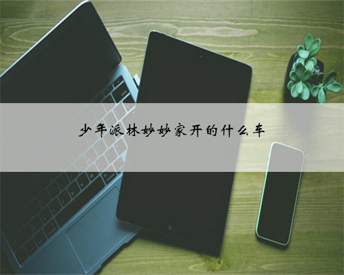 少年派林妙妙家开的什么车