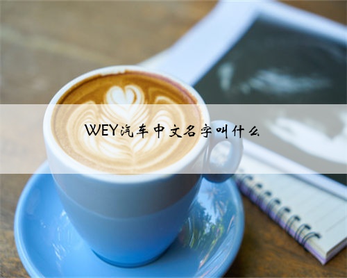 WEY汽车中文名字叫什么