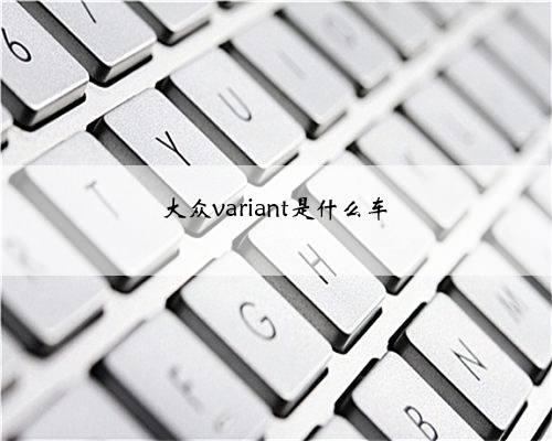 大众variant是什么车