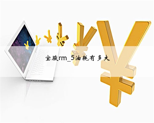 宝骏rm_5油耗有多大