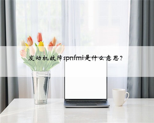 发动机故障spnfmi是什么意思?