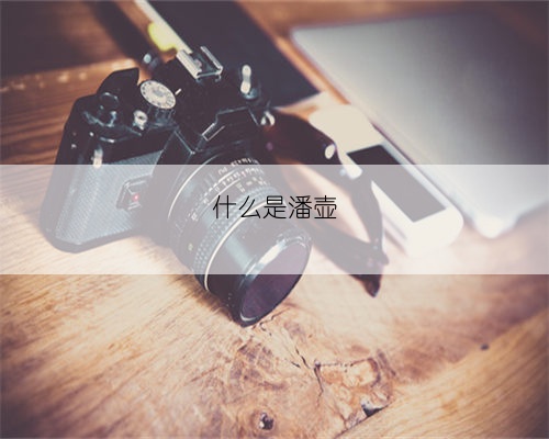 什么是潘壶