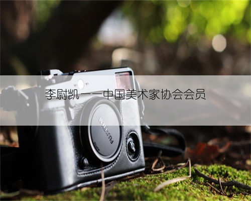 李尉凯——中国美术家协会会员