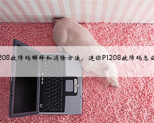 迷你p1208故障码解释和消除方法，迷你P1208故障码怎么解决？