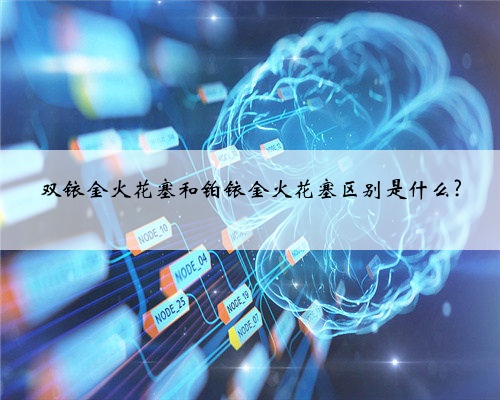 双铱金火花塞和铂铱金火花塞区别是什么?