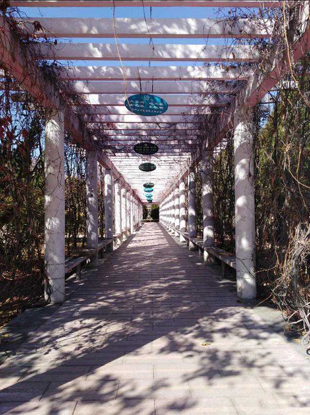 别了，我永远将不复存在的宝积山矿！