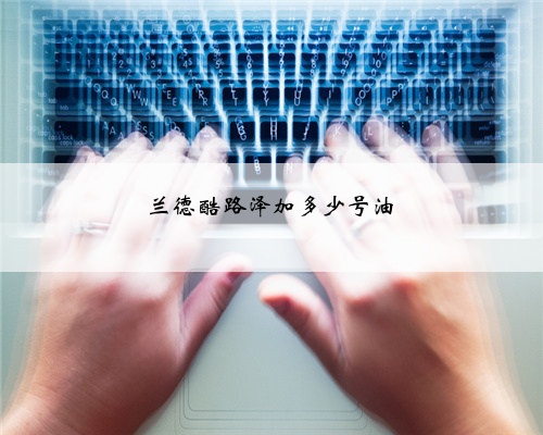 兰德酷路泽加多少号油