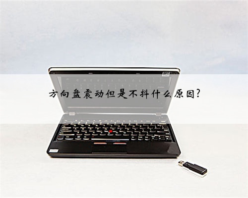 方向盘震动但是不抖什么原因?