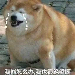 大雨,局部暴雨!今天入梅,北仑天气要大反转