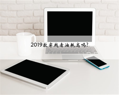 2019款穿越者油耗高吗?