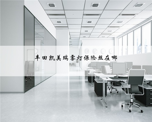 丰田凯美瑞雾灯保险丝在哪