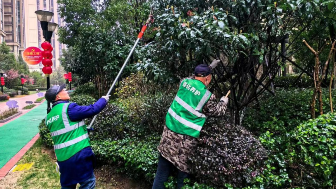冻雨大雪返场,汉阳全力以赴护平安!
