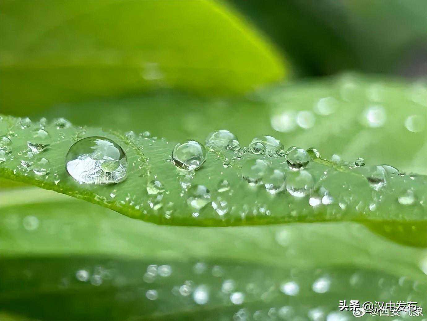 还有雨吗？汉中气象最新发布→