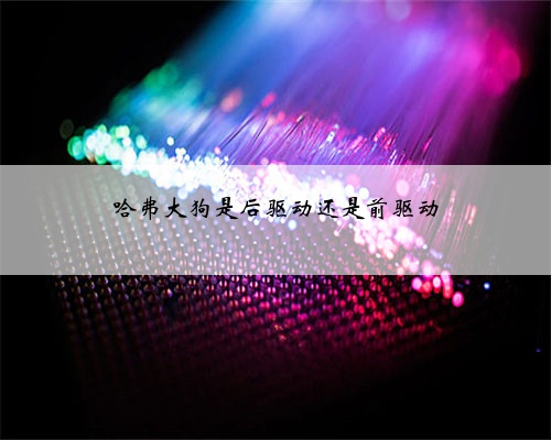 哈弗大狗是后驱动还是前驱动