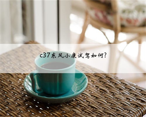 c37东风小康试驾如何?