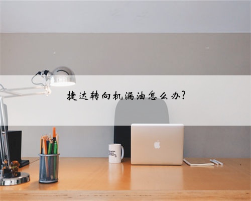 捷达转向机漏油怎么办?